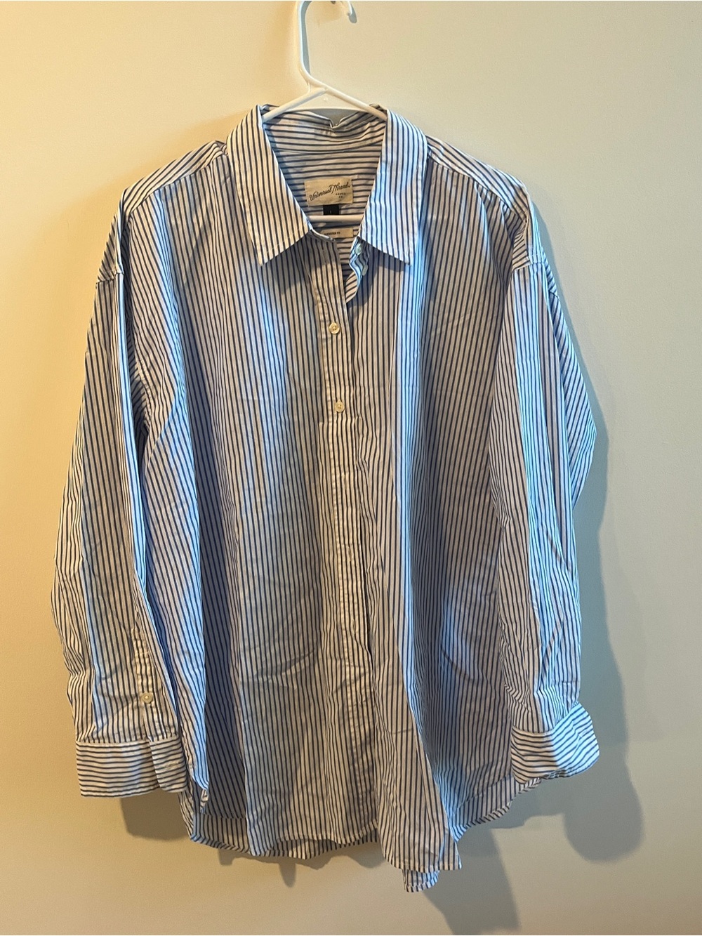Classic Blue Stripe womens Button-Down Shirt